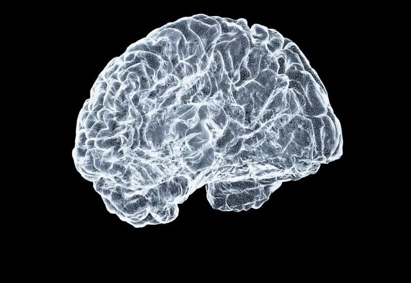 Китайските мозъчни импланти са задъхнали около три години по-напред от американския Neuralink