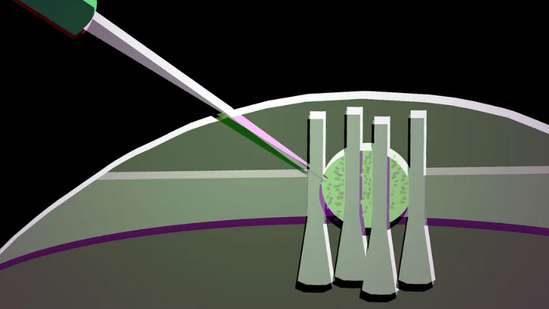 Учените превърнаха капка течен кристал в гъвкав оптичен транзистор за бъдещи фотонни чипове