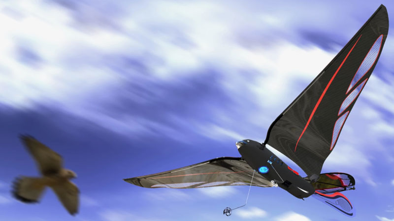 Инженерът изработи 10-грама роботизирана птица, която се разгръща до 31 км/ч и се управлява чрез смартфон