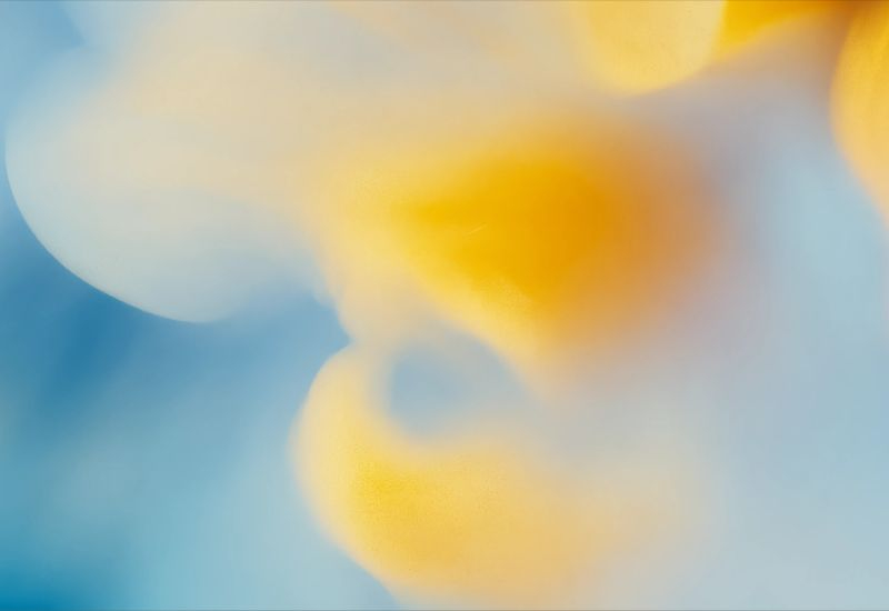 OpenAI ще намали паралелните проекти, за да не се отстъпва в състезанието за изкуствен интелект