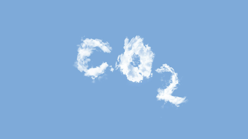 Стохрани хиляди се превърнаха в десетки милиони: изкуственият интелект ускори растежа на търсенето за въглеродни кредити сред технологичните гиганти