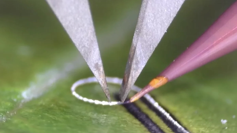 Инженерите създадоха устройство, позволяващо поставянето на електронни компоненти върху живи тъкани и медицински импланти без повреди