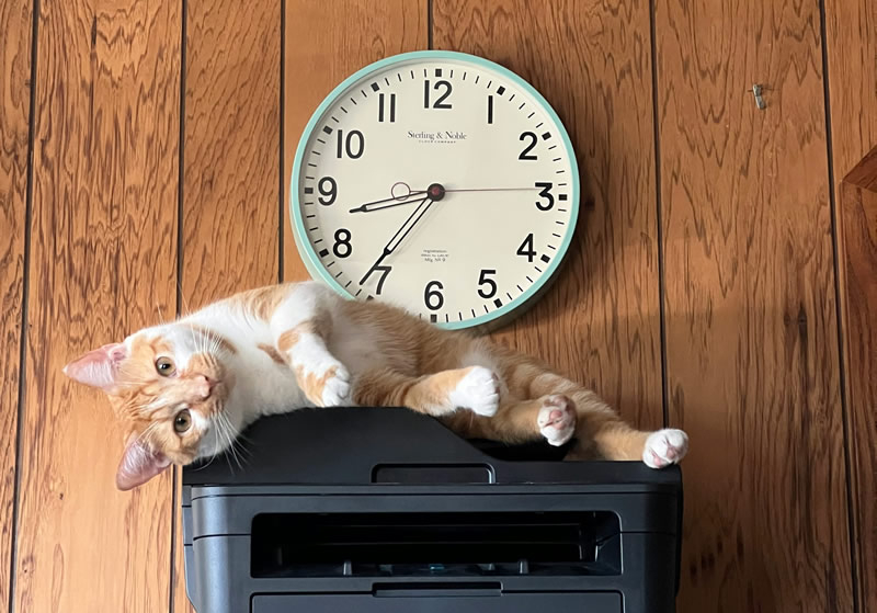 Windows 11 ще спре поддръжката на стари драйвъри за принтери V3 и V4 след следващото актуализиране