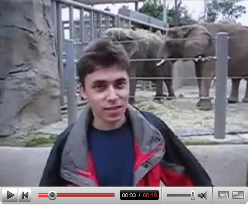 Първите ролики от YouTube попаднаха в колекцията на музея.